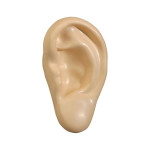 Stress Shapes - Stress Ear