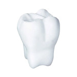 Stress Shapes - Stress Tooth