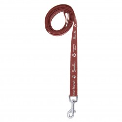 1.4M Dog Leash 19mm