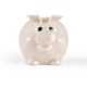 Money Boxes - Worlds Smallest Pig Eco Coin Bank