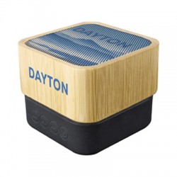 Wired & Bluetooth Speakers - Dayton Wireless Speaker