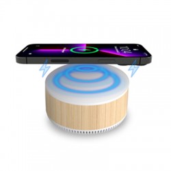 Hampton 15W Wireless Charging Speaker 