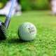 Printed Golf Balls - Pinnacle Soft Golf Balls